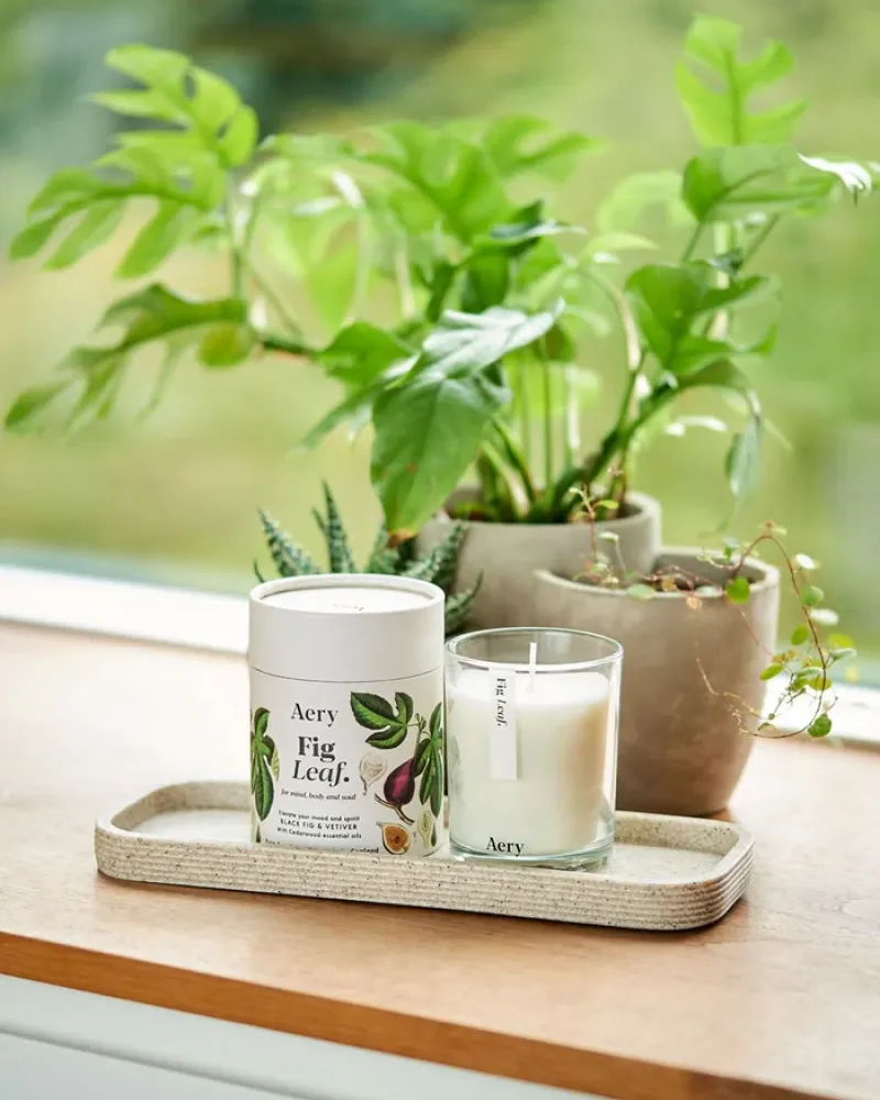 Ароматна свещ за дома Fig Leaf 200g