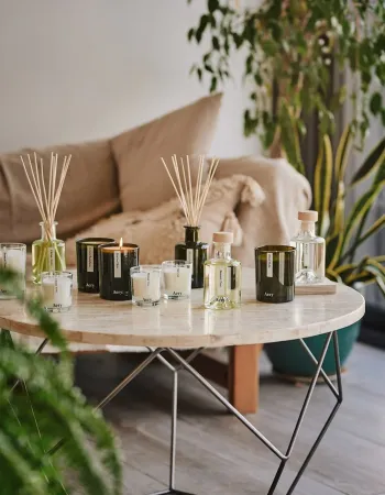 Ароматизатор за дома Fig Leaf 200ml