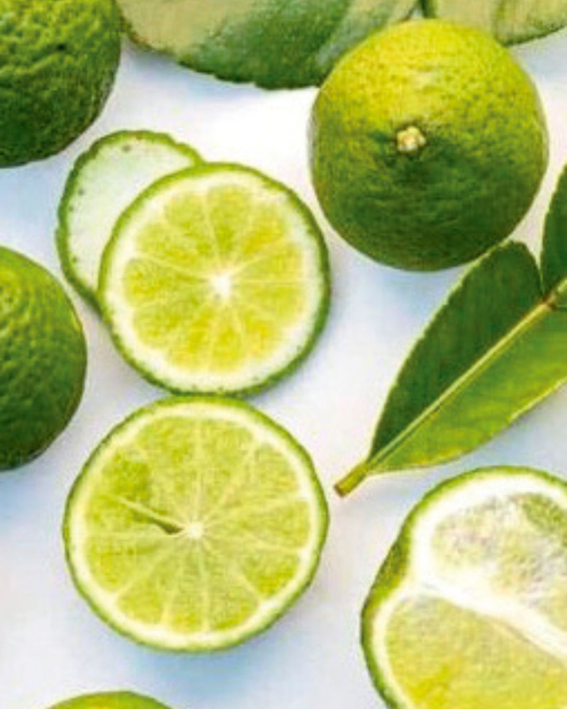 Ароматизатор за текстил Bergamotto di Calabria 500ml