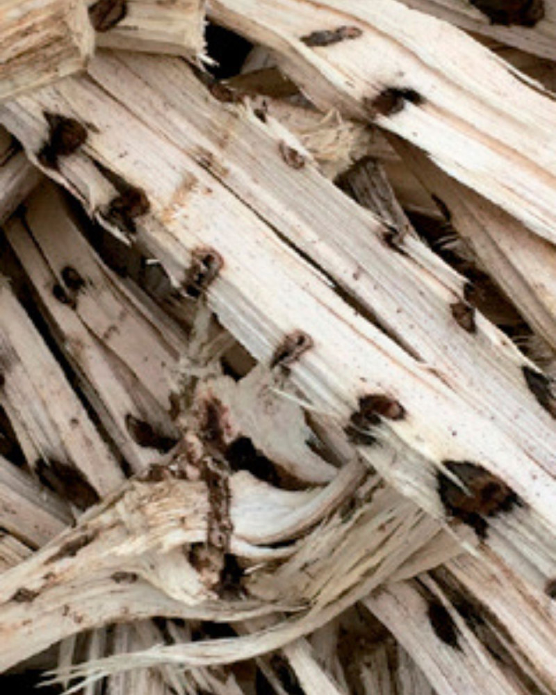 Етерично масло за дифузер Bulgarian Rose & Oud 30 ml