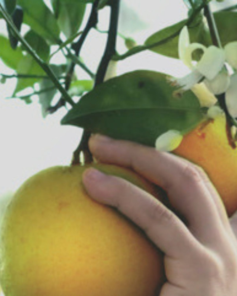 Ароматизатор за текстил Raspberry & Black Vanilla 500ml