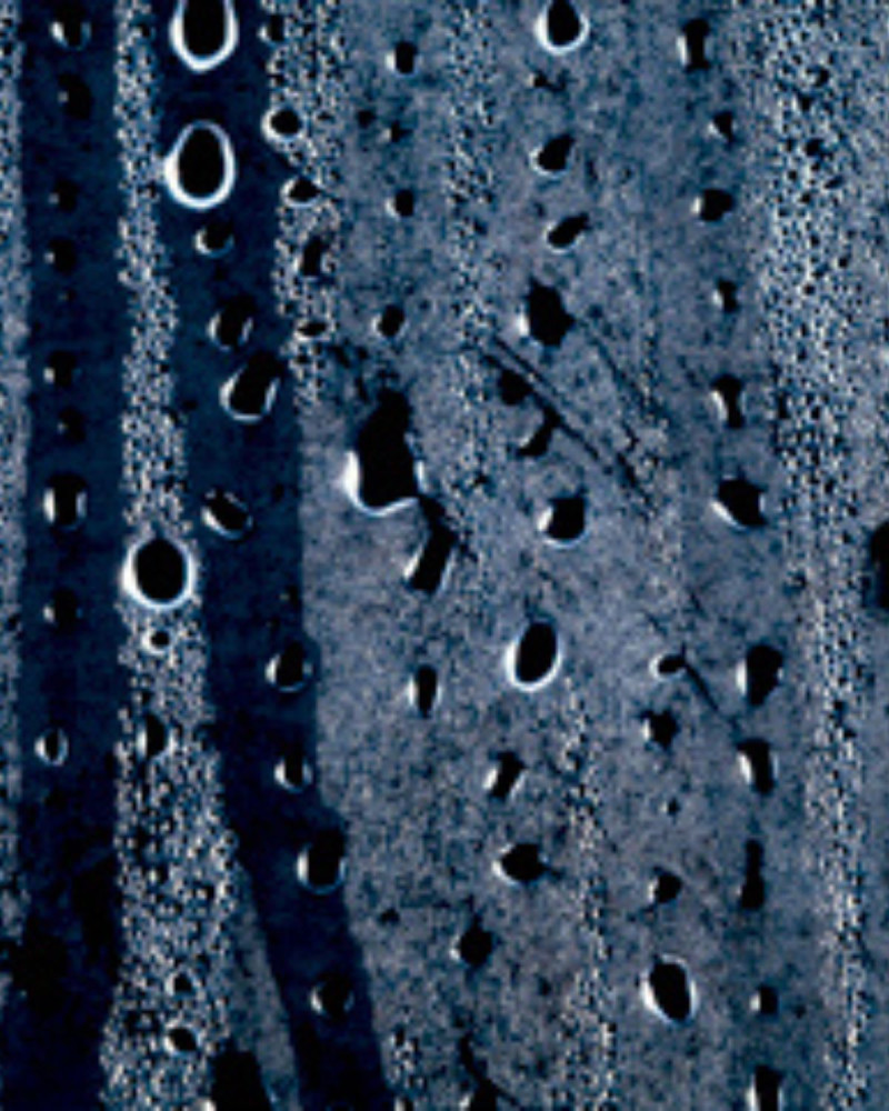 Ароматизатор за текстил Raspberry & Black Vanilla 500ml