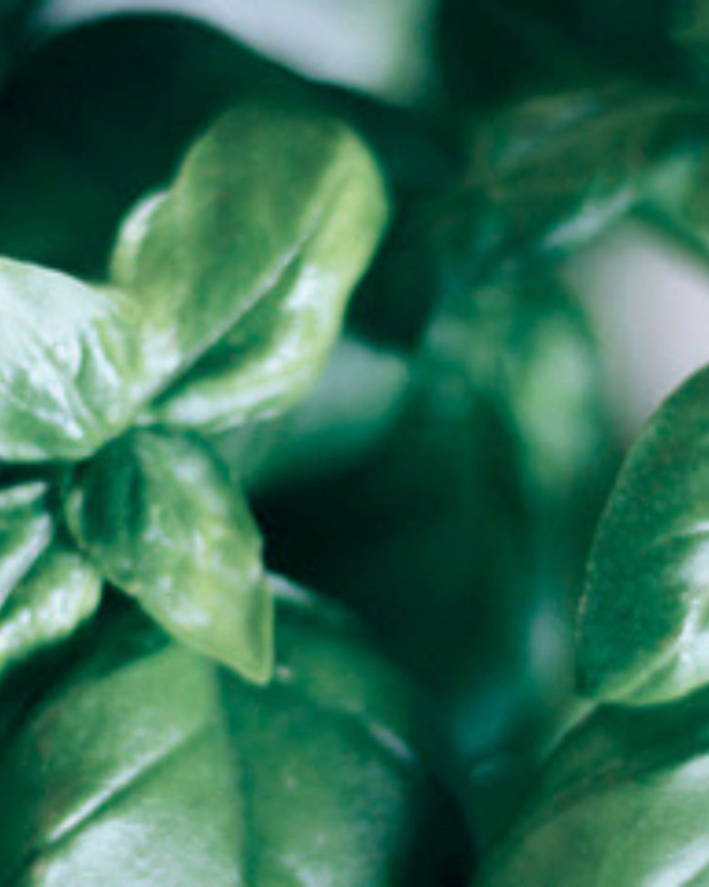 Ароматизатор за текстил French Linen 500ml