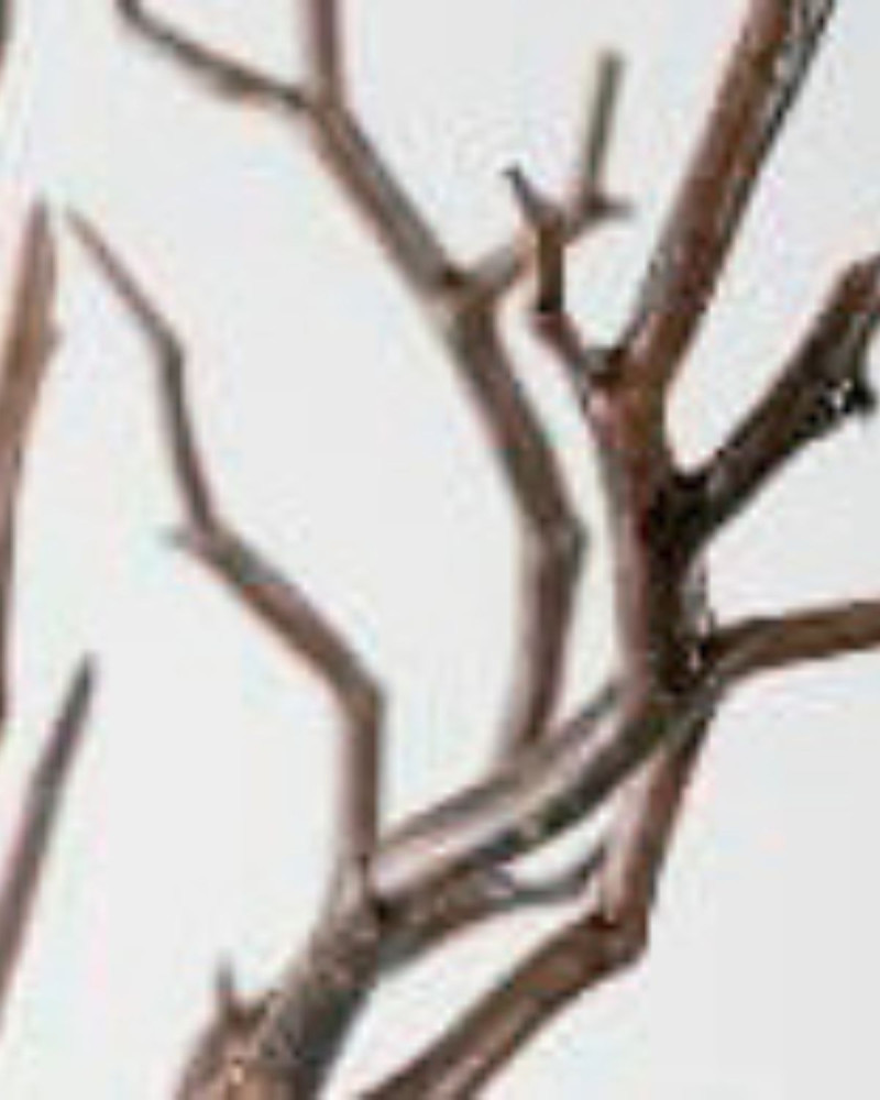 Лосион за ръце и тяло Velvet Wood. 500 ml