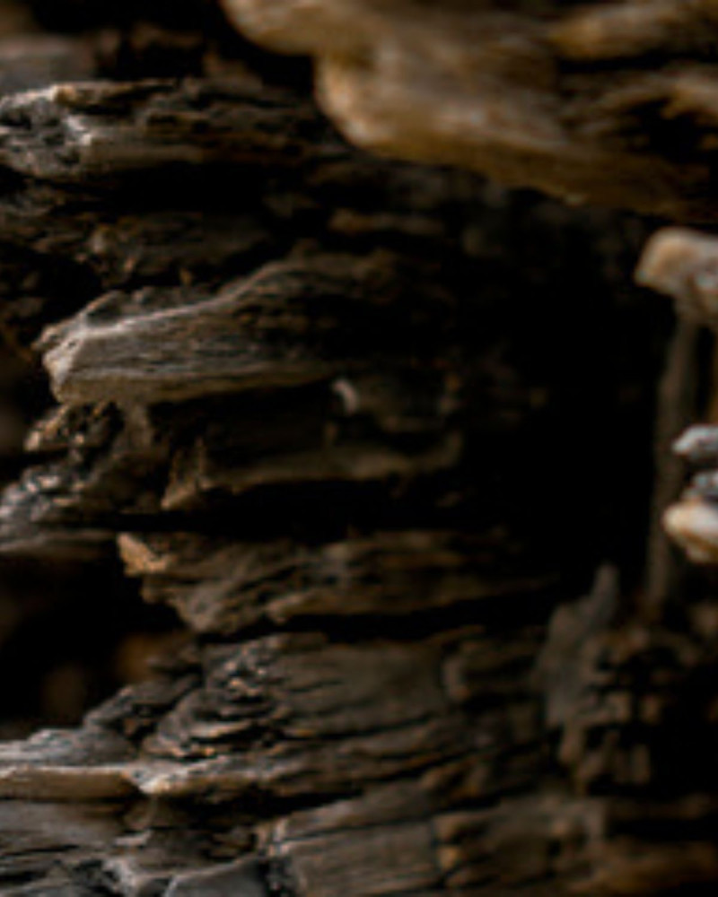 Етерично масло за дифузер Fig & Citrus 30 ml