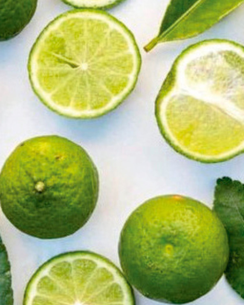 Лосион за ръце и тяло  Amber & Sandalwood 500 ml