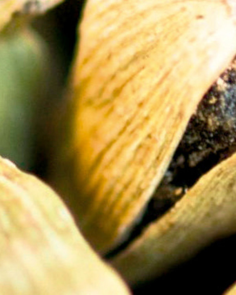 Ароматен сапун Basil & Mandarin 100г