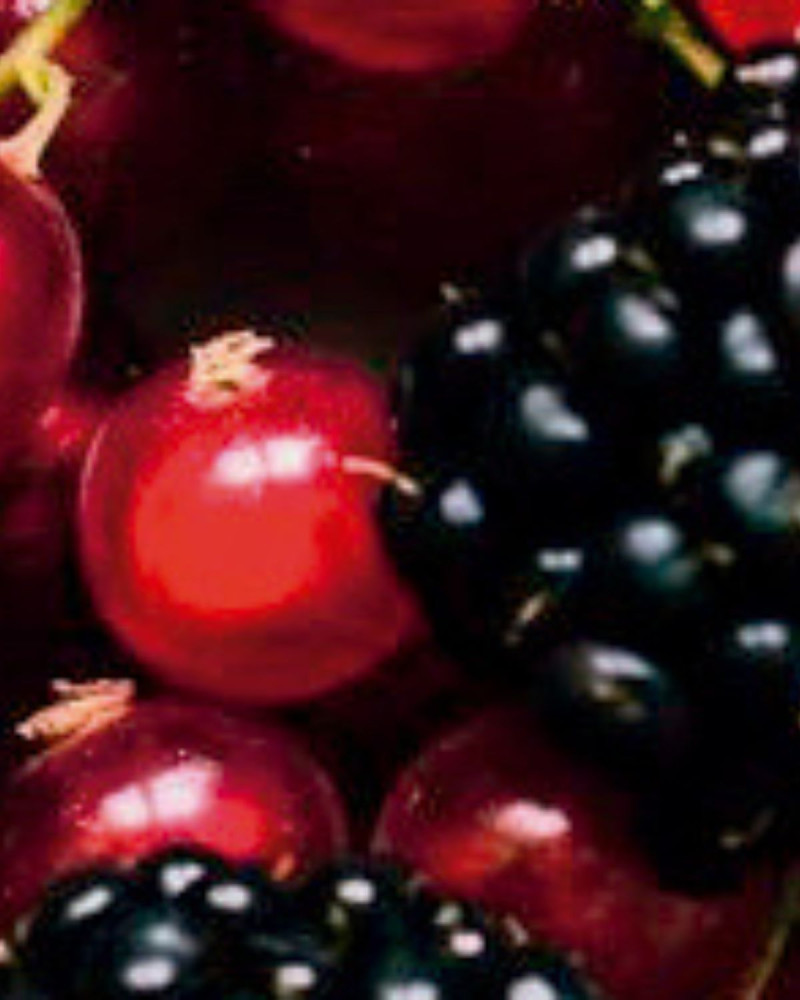 Лосион за ръце и тяло Bulgarian Rose & Oud  500 ml