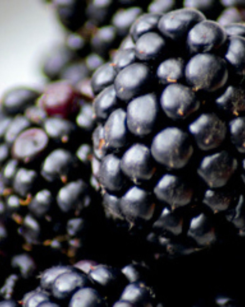 Етерично масло за дифузер Grapefruit & Bay 30 ml