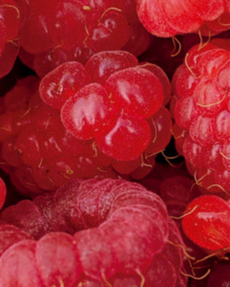 Етерично масло за дифузер Raspberry & Black Vanilla 30 ml